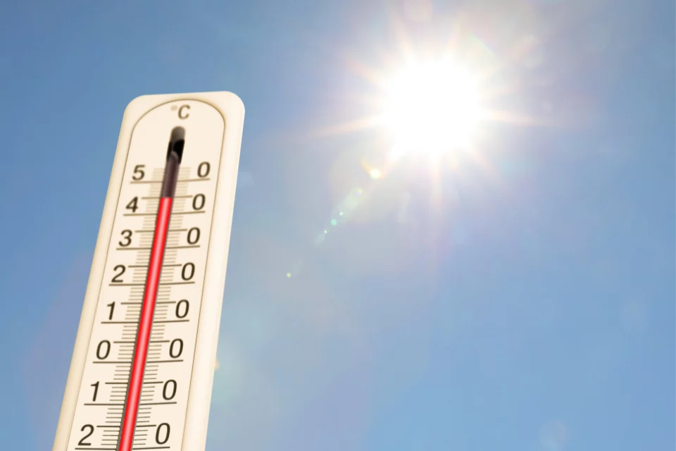 canicule en France