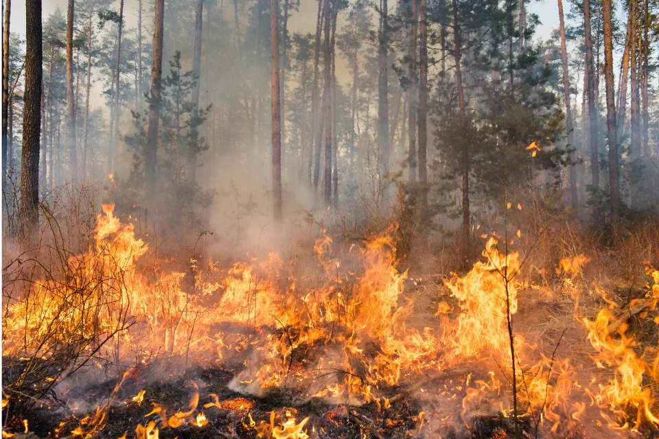 incendie